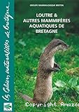 Loutre & autres mammifères aquatiques en Bretagne